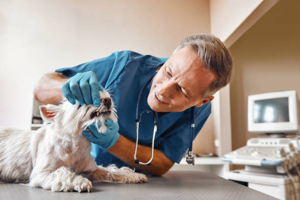 Best Emergency Treatment for Dental Infections or Abscesses in Oconomowoc, WI