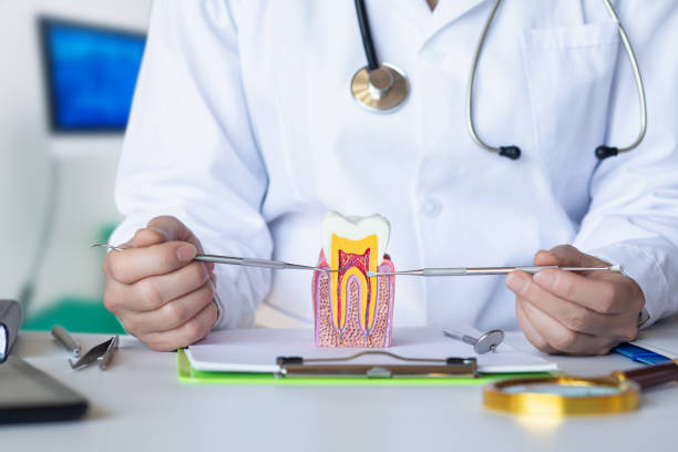 Best Emergency Root Canal Treatment in Oconomowoc, WI